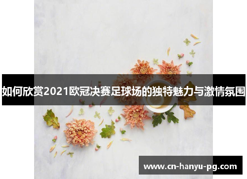 如何欣赏2021欧冠决赛足球场的独特魅力与激情氛围
