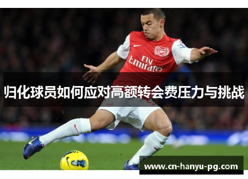 归化球员如何应对高额转会费压力与挑战